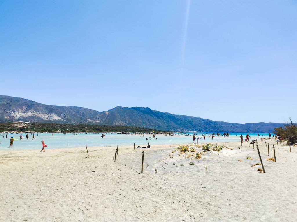 Elafonisi - przewodnik po różowej plaży Krety Wydmy i roślinność chroniona na plaży Elafonisi