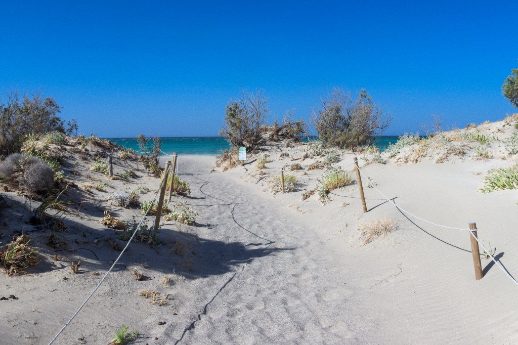 Elafonisi - przewodnik po różowej plaży Krety Ścieżka przez wydmy prowadząca na plażę Elafonisi na Krecie.