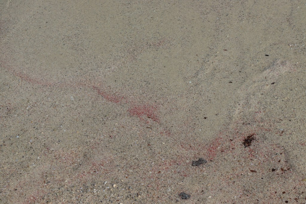 Przewodnik po Balos, jednej z najpiękniejszych plaż Europy