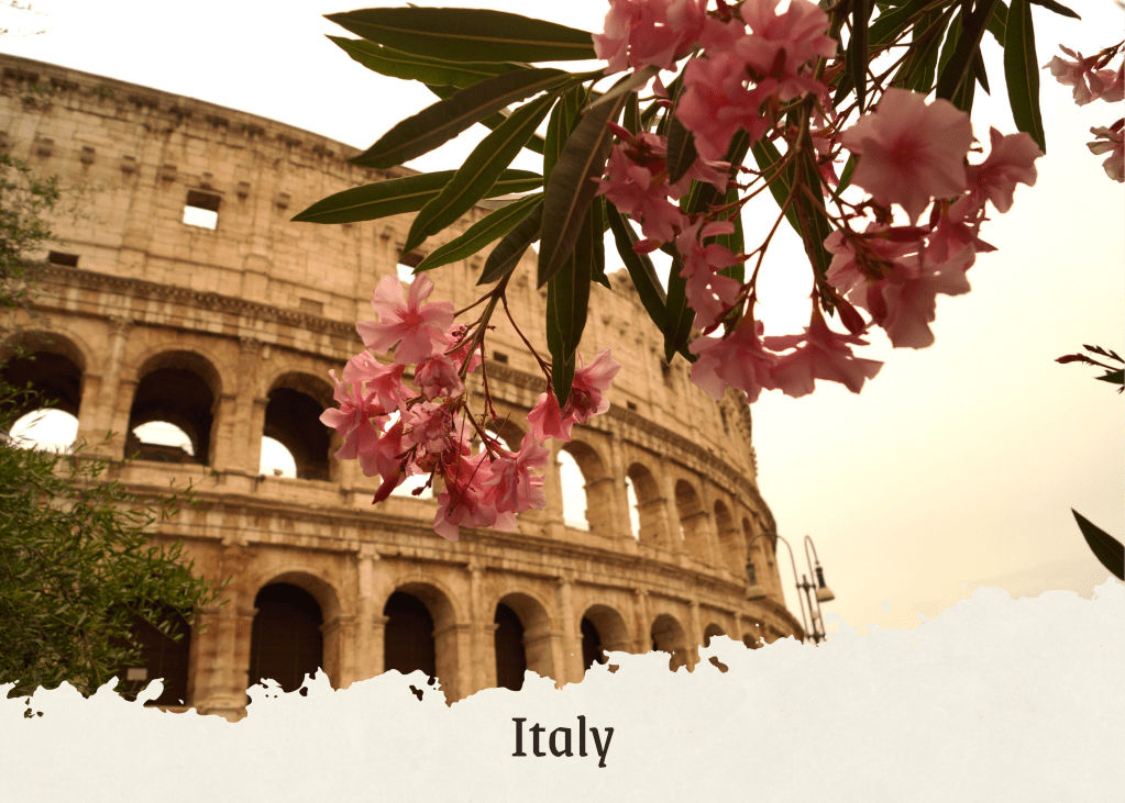A view of the Colosseum in Rome, partially obscured by pink flowers, with the word 'Italy' written at the bottom.