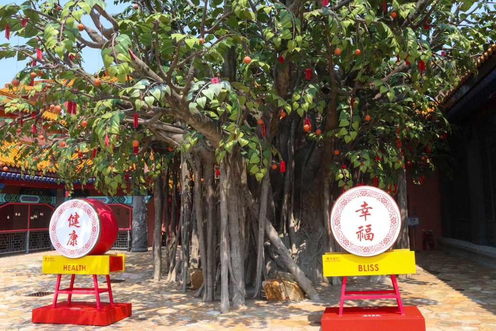 Árvore dos desejos tradicional com placas de bênçãos para Saúde e Felicidade, Mosteiro Po Lin, Hong Kong.