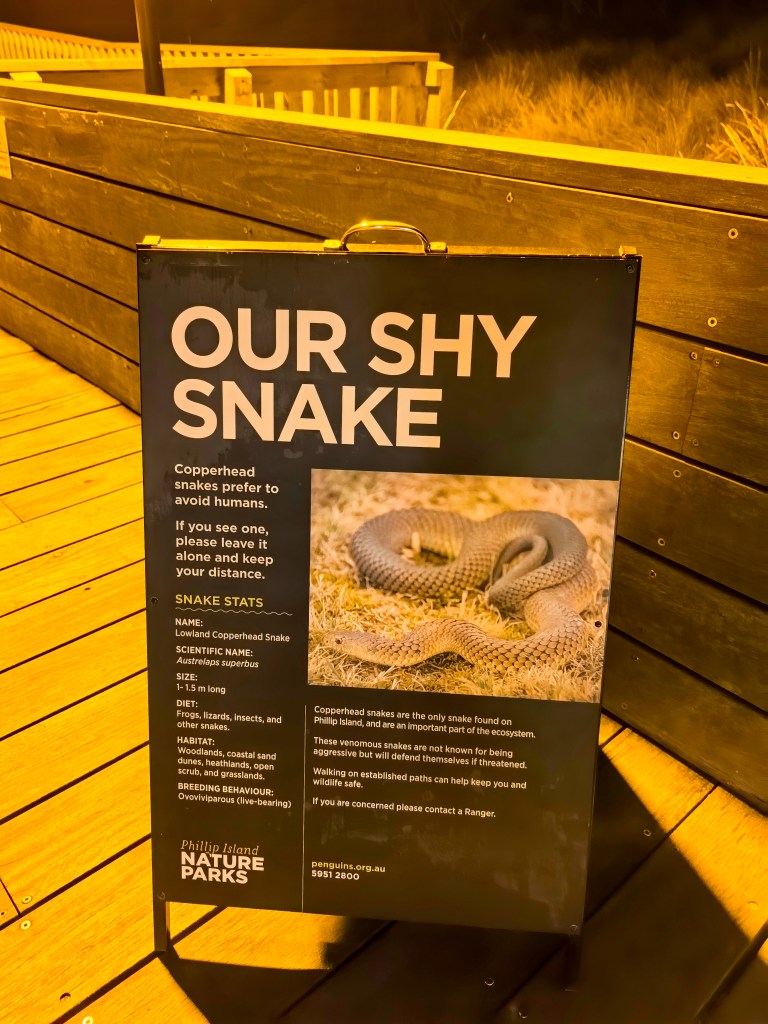 Tablica edukacyjna na drewnianym pomoście z informacjami o jadowitym wężu lowland copperhead w Phillip Island Nature Parks.