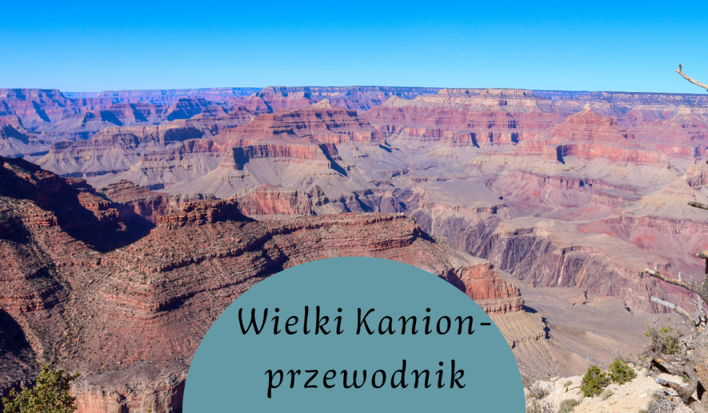Widok na Wielki Kanion z wyraźnymi warstwami skalnymi, z niebieskim niebem w tle.