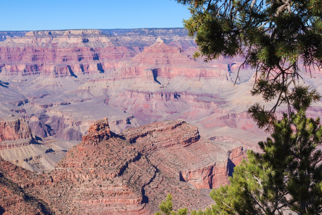 Szeroki widok na Wielki Kanion z wysokiej krawędzi pokrytej zielonymi krzewami, ukazujący warstwowe, czerwono‑pomarańczowe skały i głębokie doliny pod jasnym, błękitnym niebem.