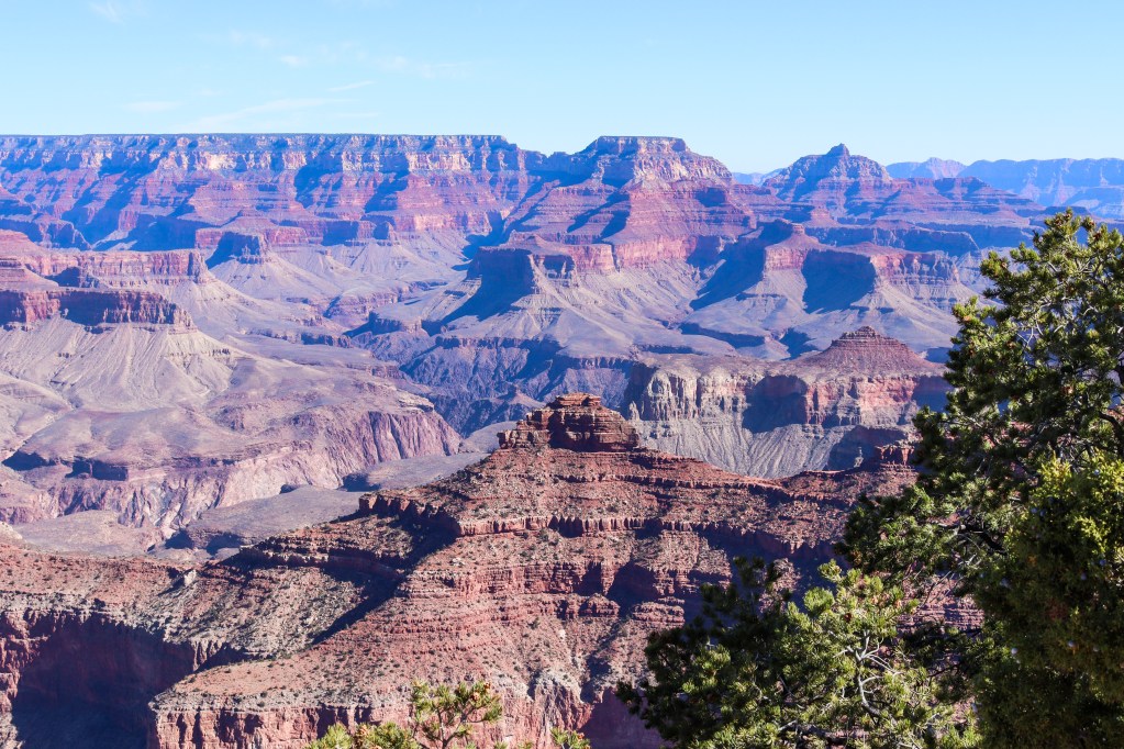 Panoramiczny widok na Wielki Kanion z wieloma warstwami dolin i szczytów w kolorach czerwieni i pomarańczy, otoczonymi drzewami pod jasnym niebem.