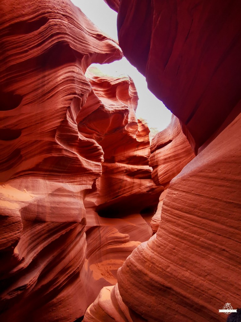 Corredor estreito do Lower Antelope Canyon com paredes rochosas fluidas em camadas vermelhas e laranja, iluminado por luz suave filtrada de cima que realça as texturas onduladas da areia esculpida.