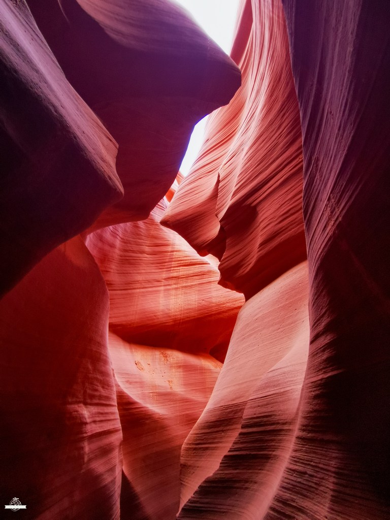 Corredor estreito do Lower Antelope Canyon com paredes rochosas fluidas em tons roxos e vermelhos profundos, iluminado por luz suave de cima que cria padrões dramáticos nas curvas arenosas.