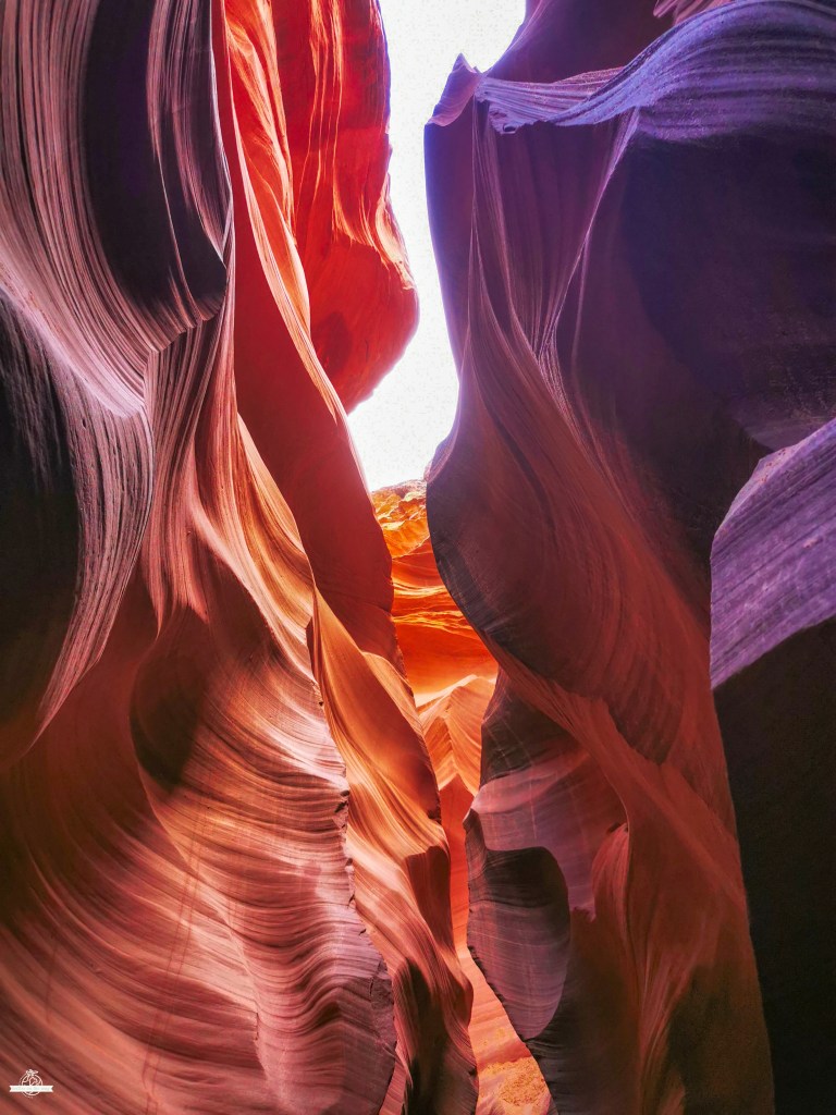 Paredes rochosas altas e fluidas do Lower Antelope Canyon em tons vermelhos, laranja e roxos vibrantes, iluminadas por luz branca suave que cria contrastes dramáticos nas curvas e texturas onduladas.