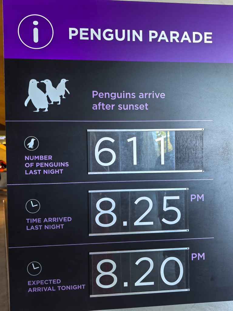 Penguin Parade information board showing 611 penguins last night and arrival times 8:25 PM and 8:20 PM on Phillip Island, Australia.