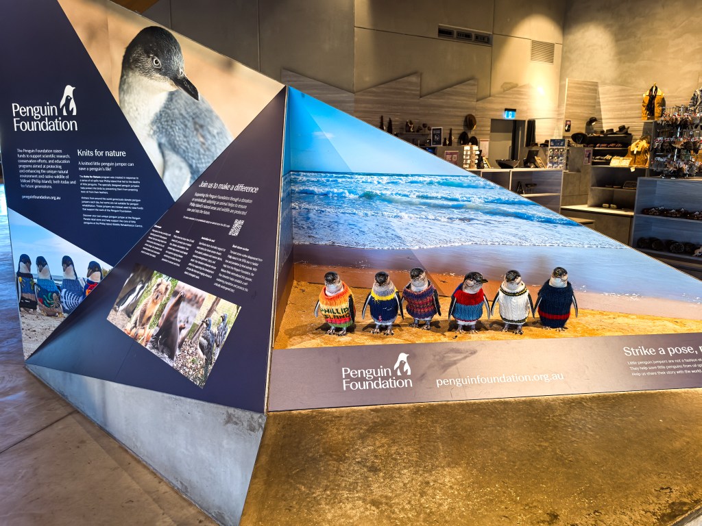 Penguin Foundation display with small penguin models in knitted jumpers and a beach backdrop at Penguin Parade, Phillip Island, Australia.