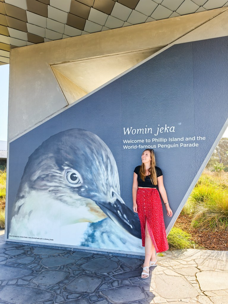 Visitor standing next to the “Womin jeka” welcome mural with a large penguin image at the Penguin Parade, Phillip Island, Australia.