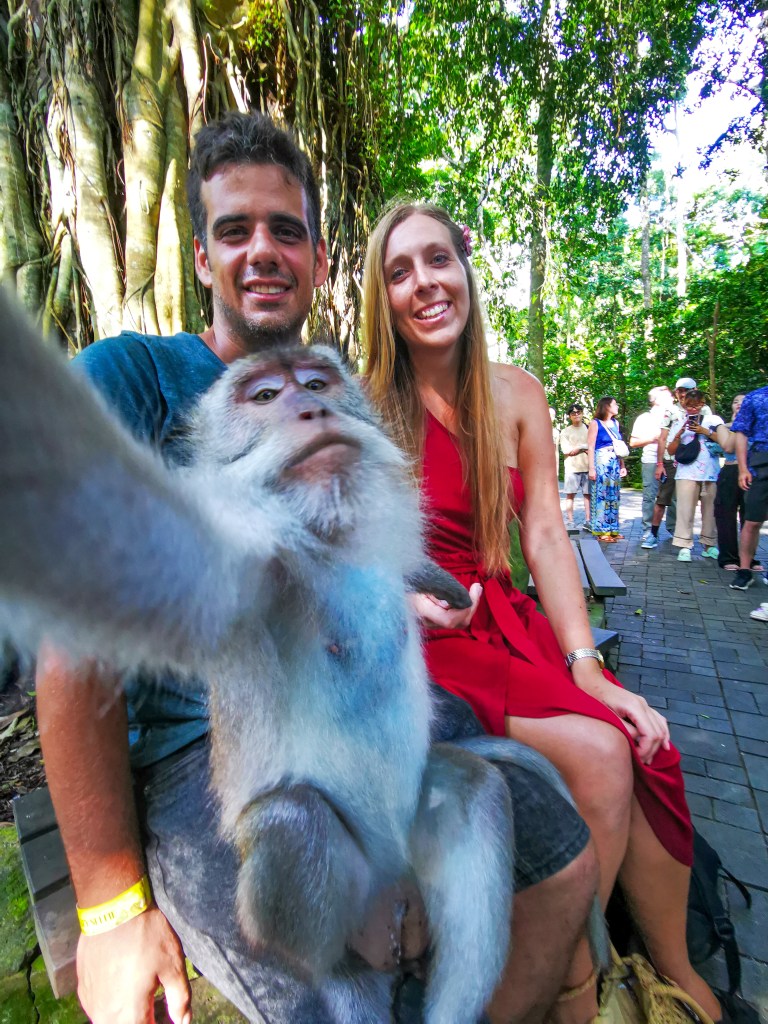 Zwiedzanie Monkey Forest w Ubud – praktyczny przewodnik po Małpim Lesie Makak robiący selfie z turystami w Monkey Forest w Ubud