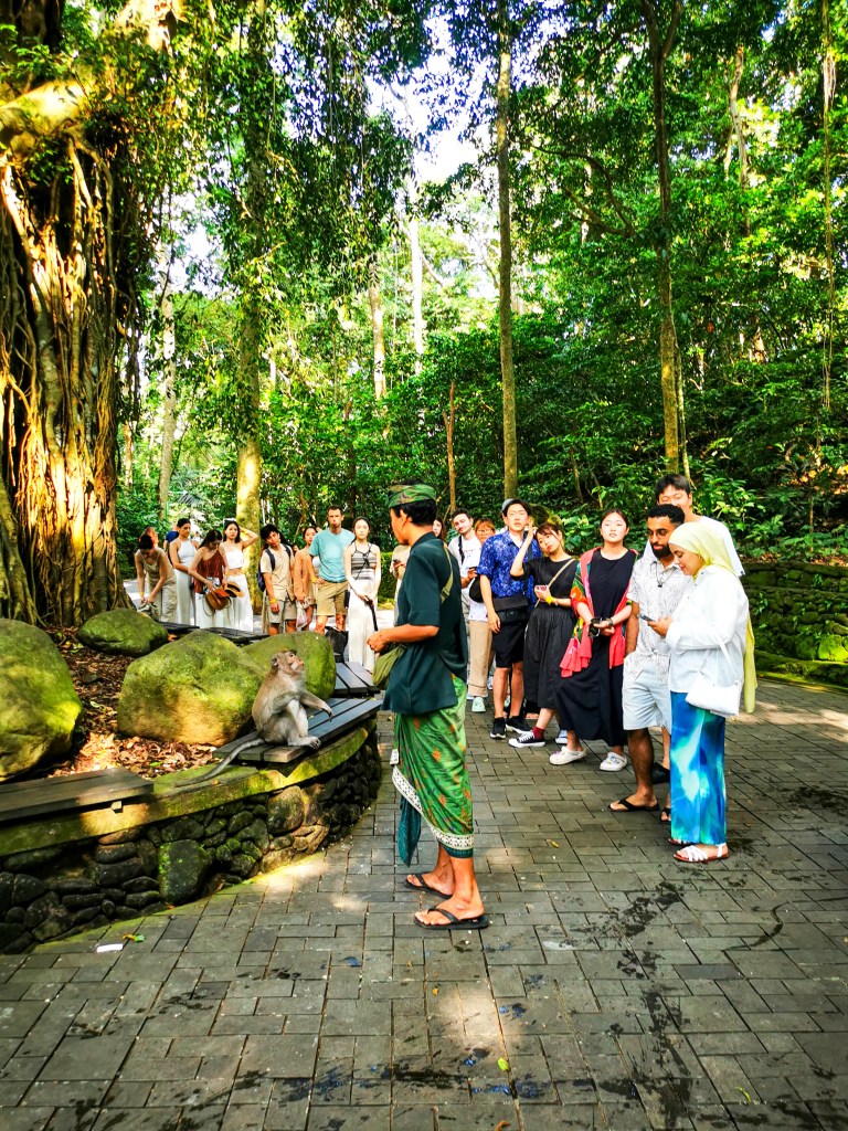 Zwiedzanie Monkey Forest w Ubud – praktyczny przewodnik po Małpim Lesie Opiekun makaka i turyści czekający w kolejce na małpie swelfie w Monkey Forest w Ubud