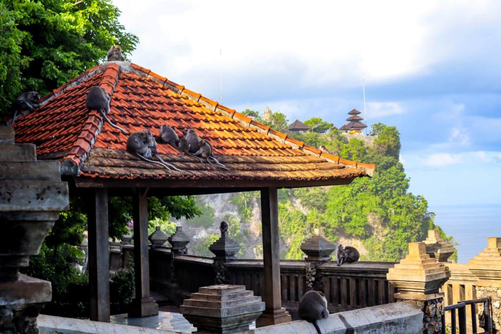 Świątynia Uluwatu, Bali – Kompletny przewodnik Grupa makaków na dachu świątynnej budowli w Pura Luhur Uluwatu na Bali.