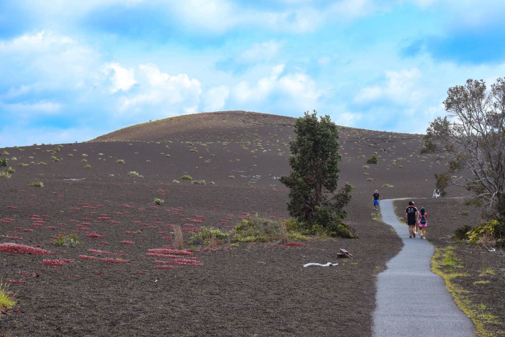 Devastation Trail in Hawaiʻi Volcanoes National Park on the Big Island – a path leading through a stark post-eruption landscape.