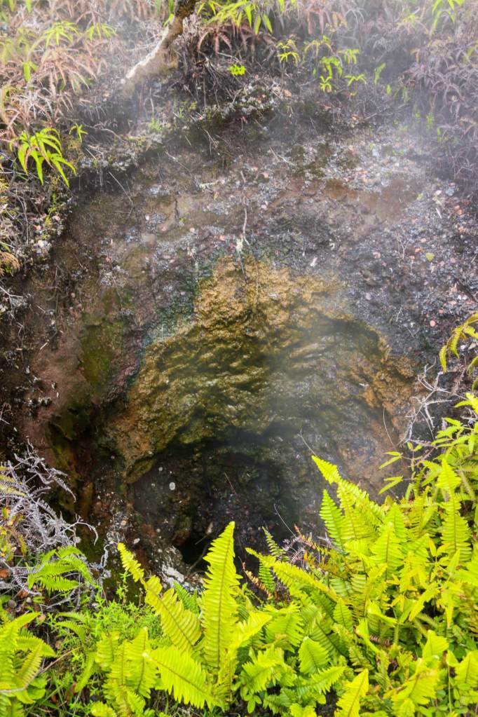 Steam Vents (Kūkamāhuākea) in Hawaiʻi Volcanoes National Park on the Big Island – a steaming geothermal vent surrounded by green vegetation.
