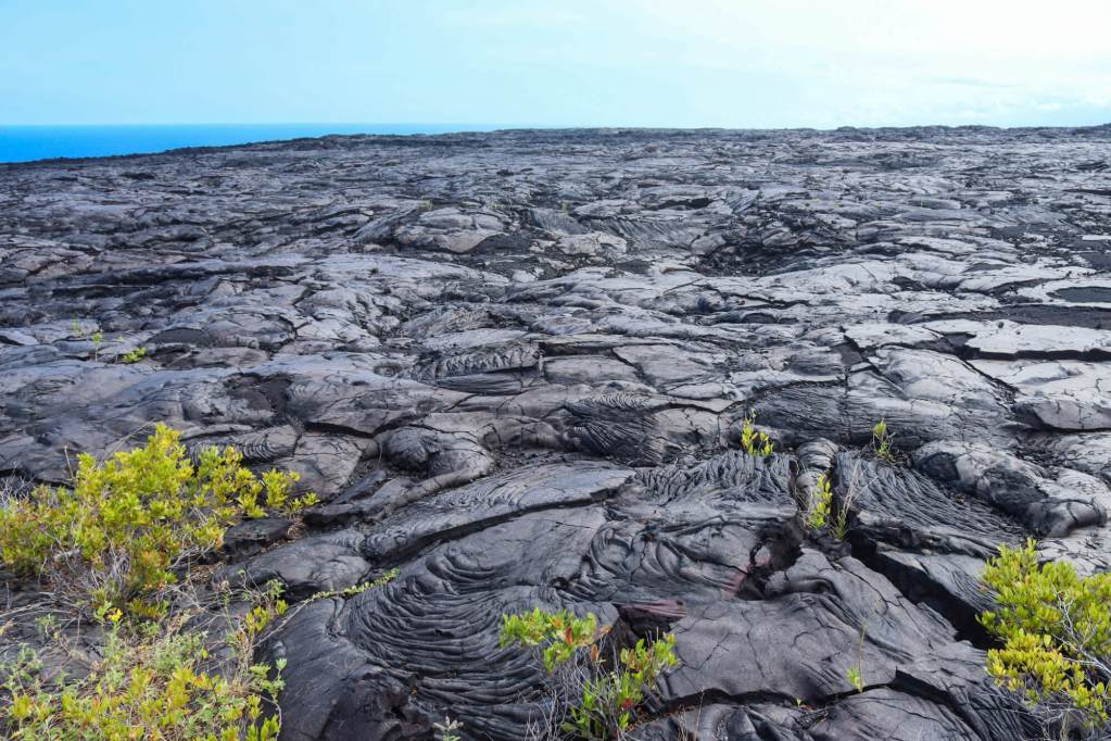 Zastygła lawa pāhoehoe na trasie Chain of Craters Road